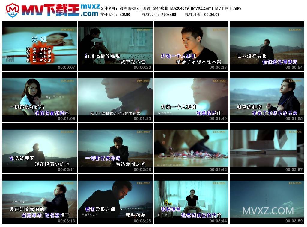 海鸣威-爱过_国语_流行歌曲_MA204819